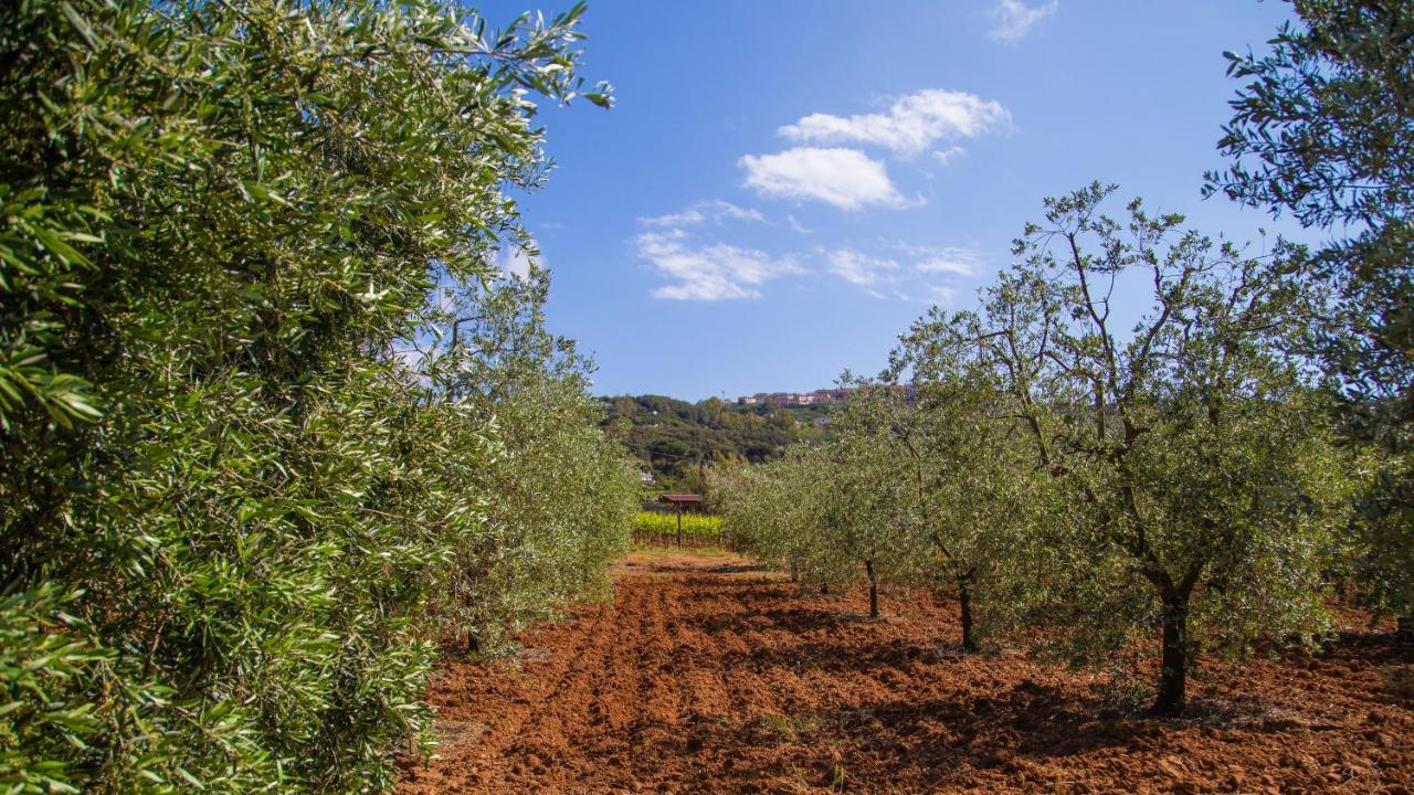 Country Hotel Residence Da Pilade Capoliveri  Εξωτερικό φωτογραφία