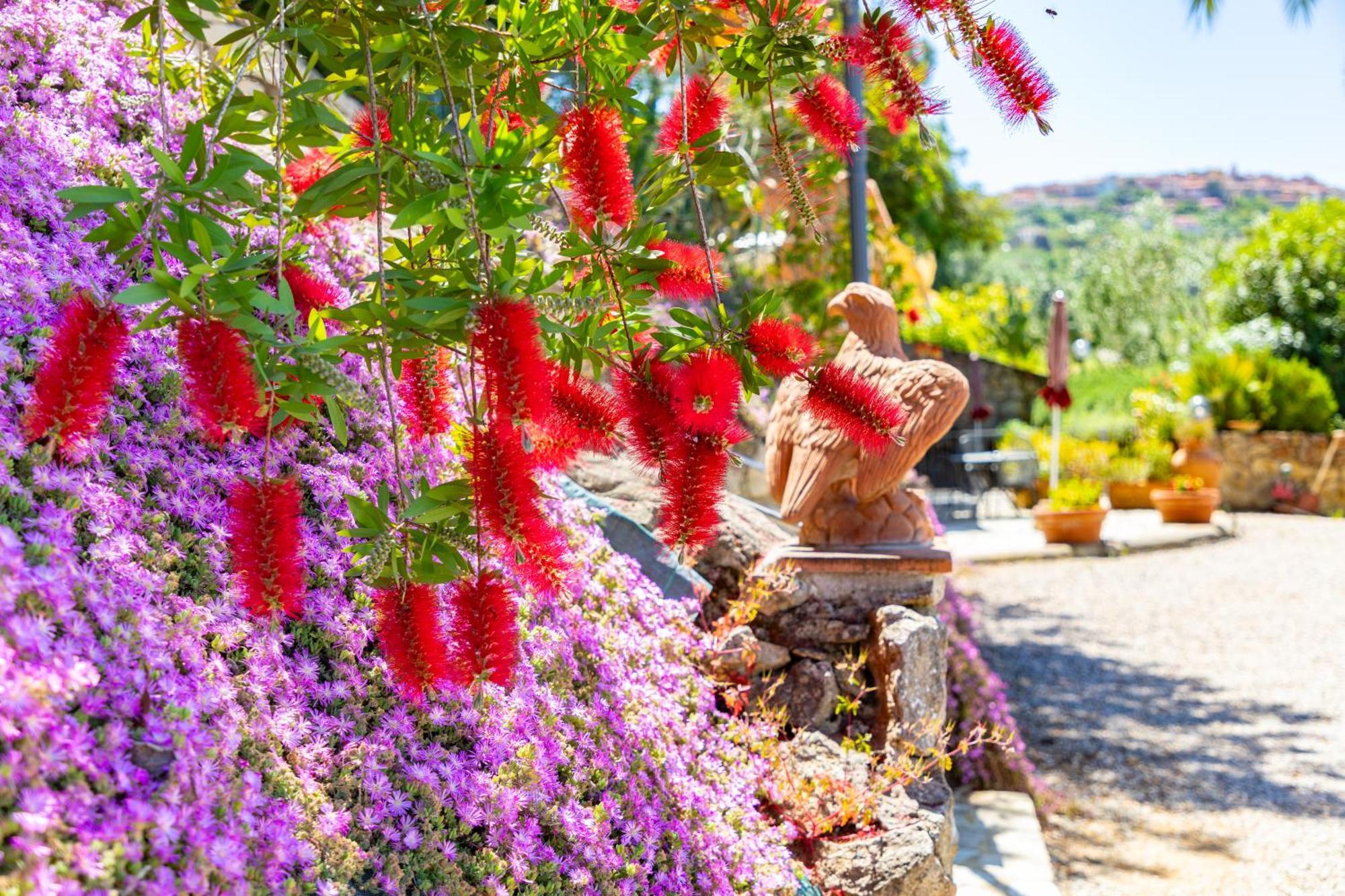 Country Hotel Residence Da Pilade Capoliveri  Εξωτερικό φωτογραφία